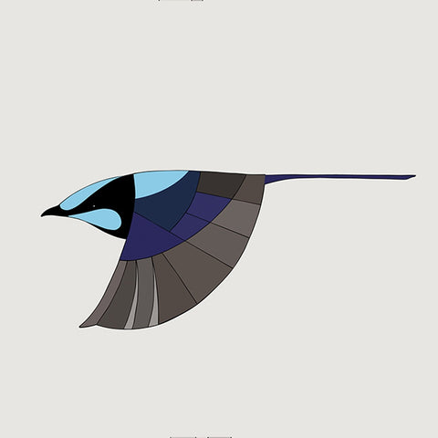 Superb Fairy-Wren (Flight) Art Print by Eggpicnic