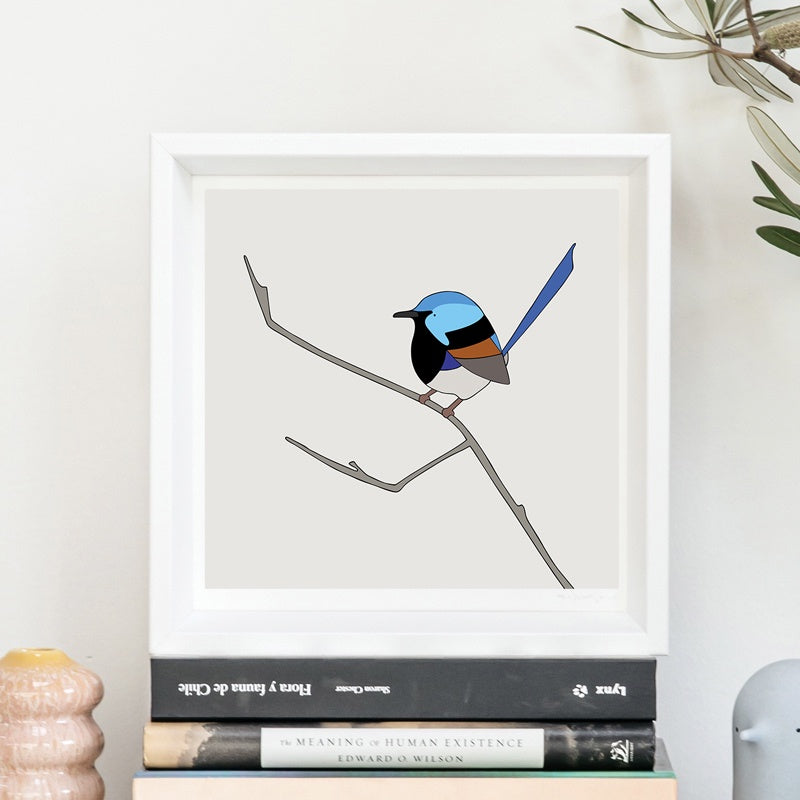 Variegated Fairy-wren Framed Art Print by Eggpicnic