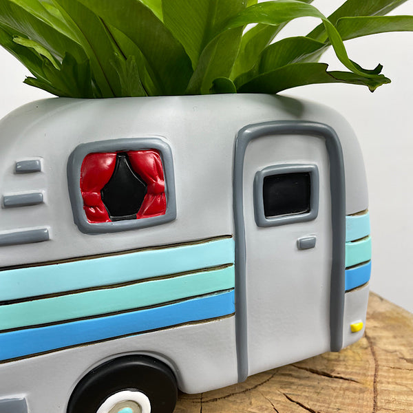 Crissie Birds Nest Fern in Happy Camper Planter